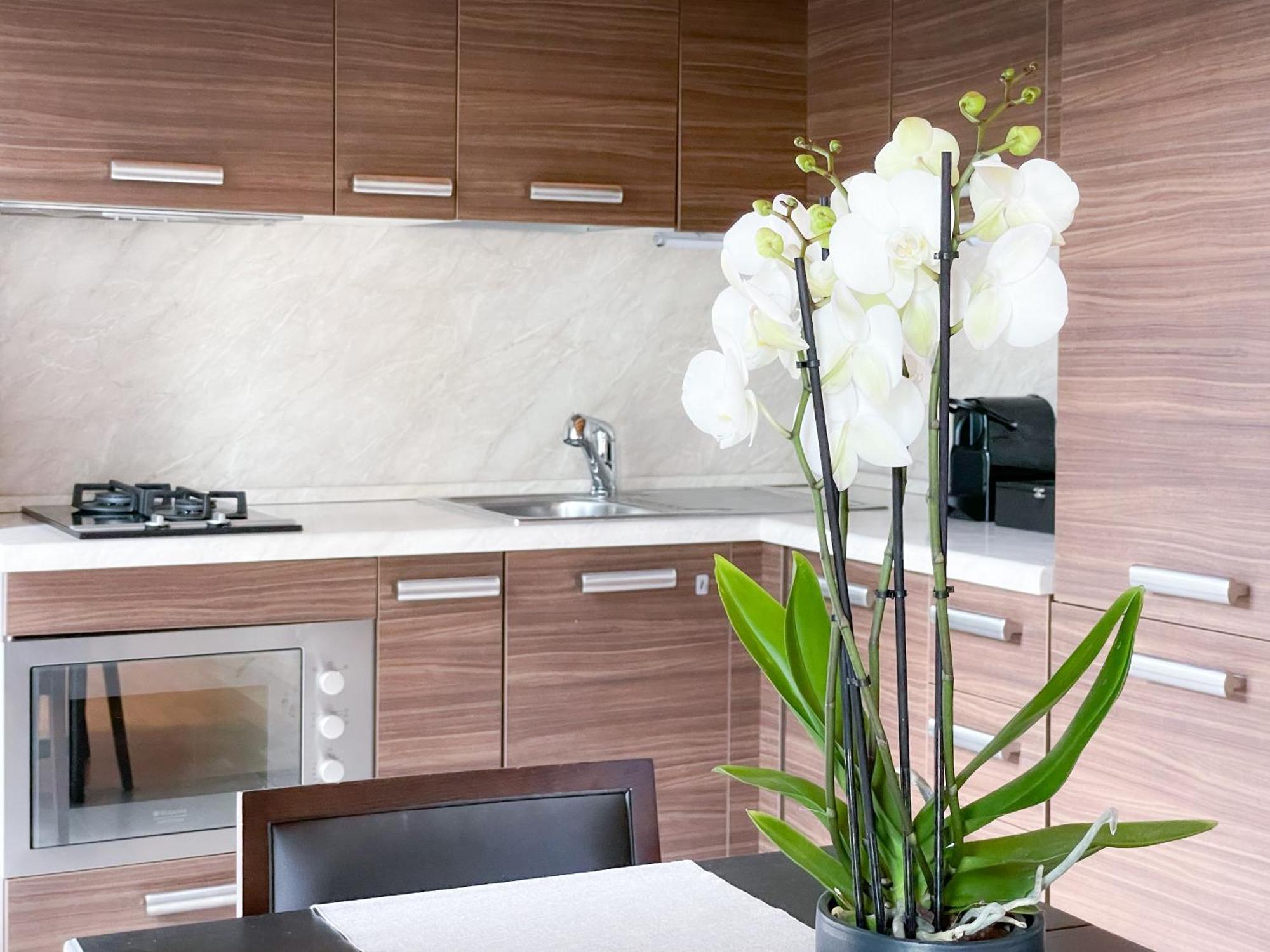 Villa Luminosa Laglio - Private Parking, Garden Екстериор снимка