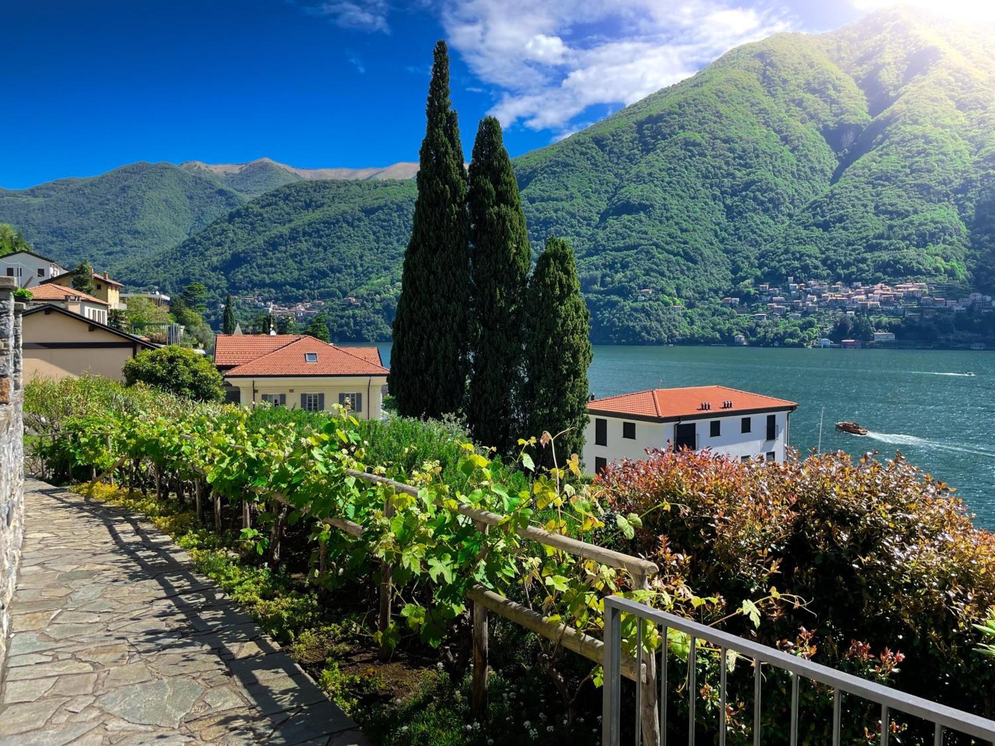 Villa Luminosa Laglio - Private Parking, Garden Екстериор снимка